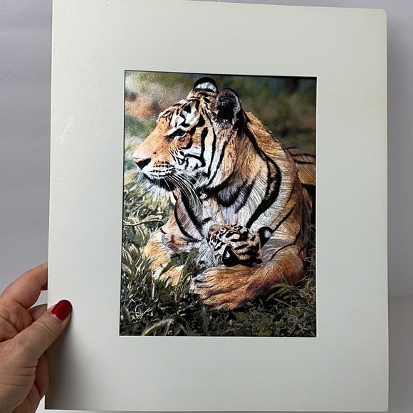 1980’s Print Holographic Foil Of Mother Tiger Baby - Picture 6 of 6